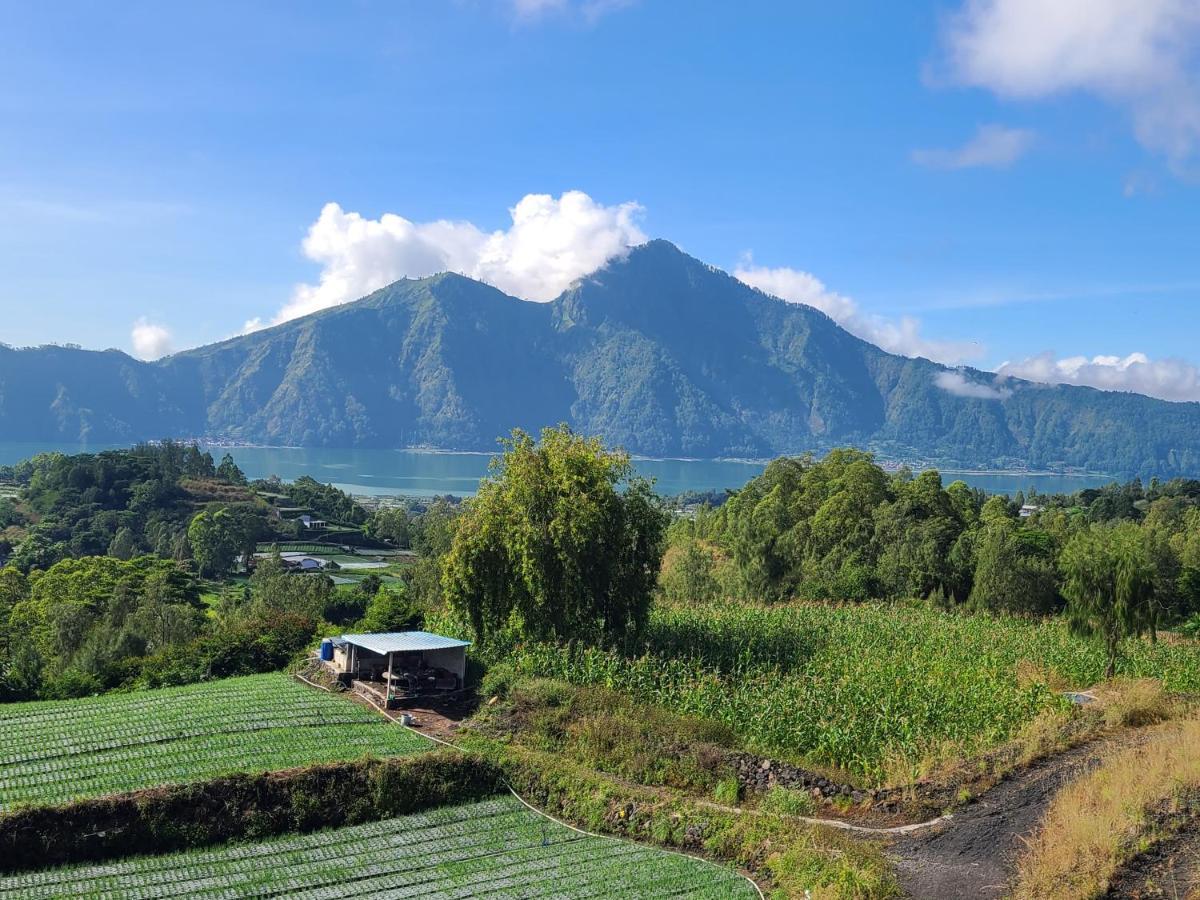 Batur Lake View 킨타마니 외부 사진