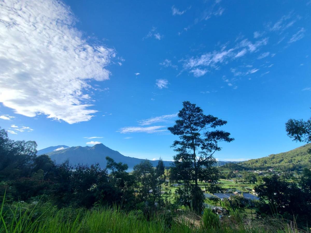 Batur Lake View 킨타마니 외부 사진